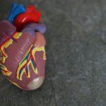 multimodal AI for ventricular