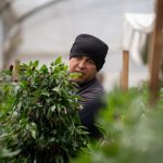 operasi militer AS untuk