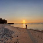 mikroba penghasil metana