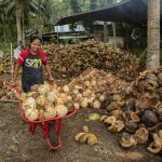 investasi untuk hilirisasi komoditas