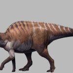 dinosaurus sauropoda tertua