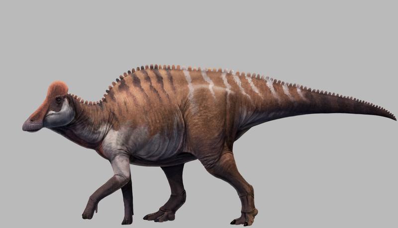 dinosaurus sauropoda tertua