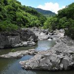 hilangnya keanekaragaman hayati artropoda