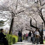 Populasi warga berusia 65