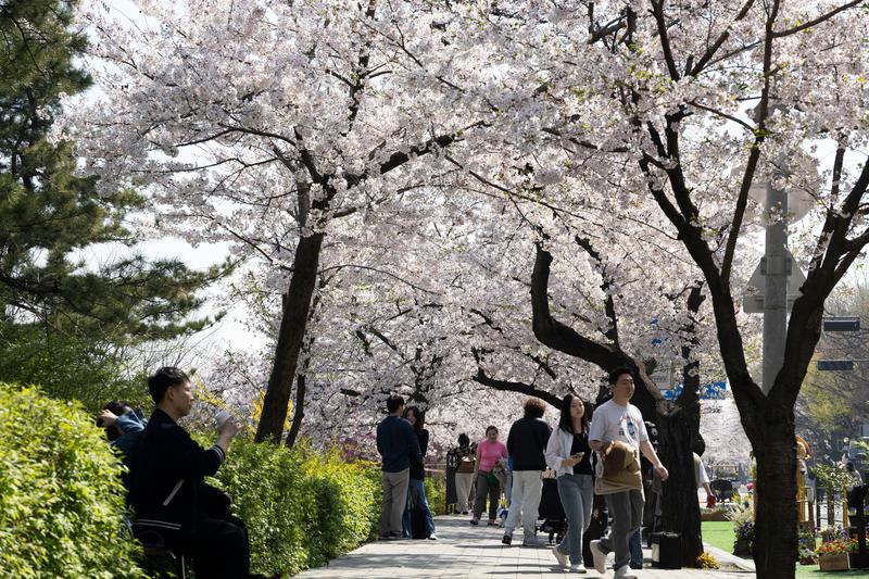 Populasi warga berusia 65