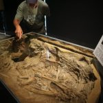 Belanda akan mengembalikan ke