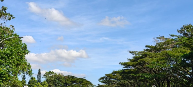 lapisan ozon pelindung Bumi