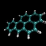 protein krusial bernama CHP1