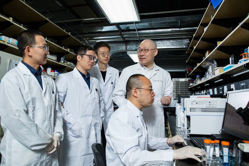 Nanozyme dapat membawa antibodi