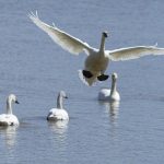 perubahan iklim memanaskan laut