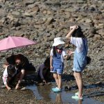 proporsi rumah tangga