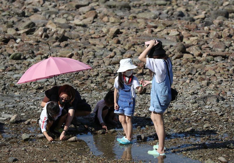 proporsi rumah tangga