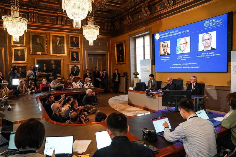 Kerangka logam-organik