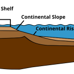 merkuri akibat aktivitas manusia