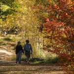 Kalangan bukan perokok yang