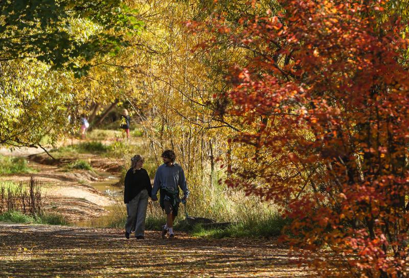 Kalangan bukan perokok yang