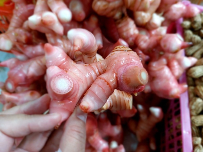 Lengkuas efektif untuk mendukung