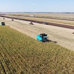 Shennong Large Model