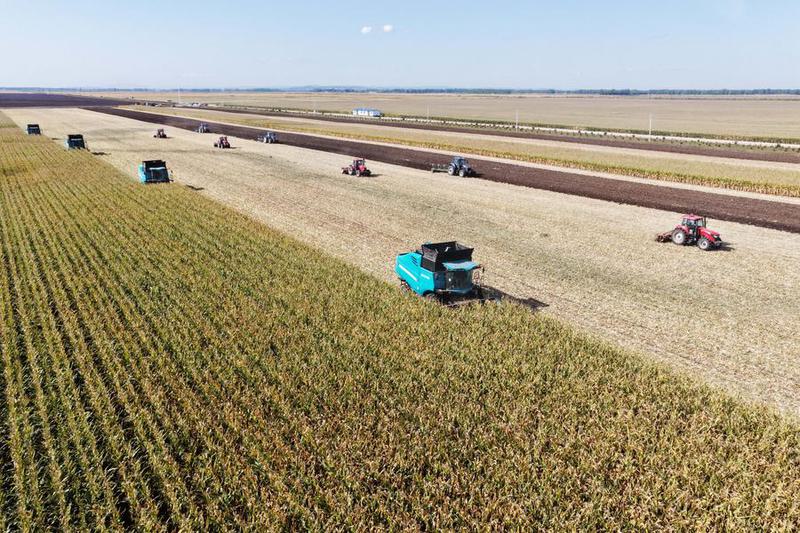 Shennong Large Model