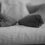 Pengurutan genom ke dalam