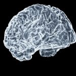 Platform resonansi magnetik