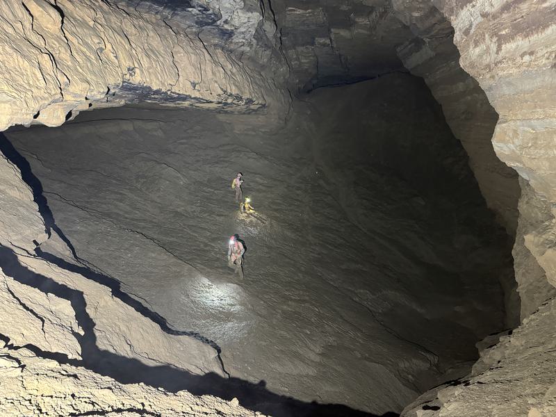 Panda raksasa hidup di