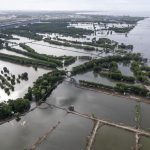 Hutan bakau Indonesia menyimpan