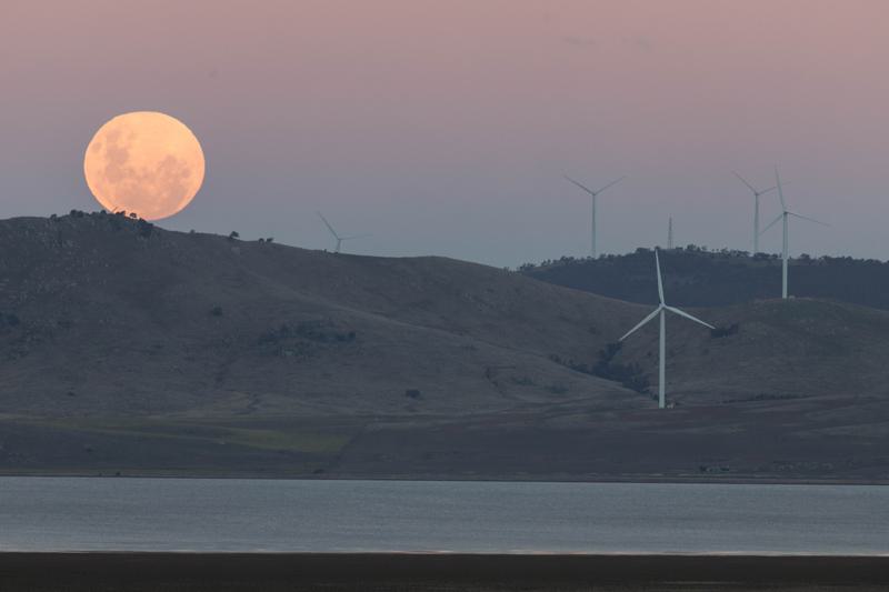 Peta jalan pertanian antariksa