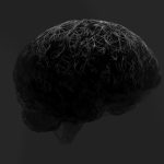 Sawar pelindung otak