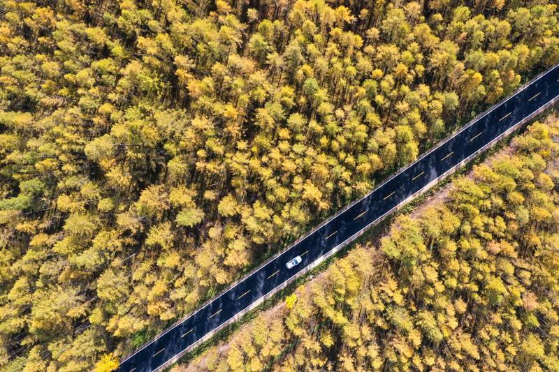 Total pergerakan manusia dengan