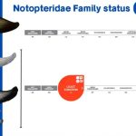 Melatonin memiliki fungsi vital