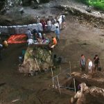 Fosil Homo floresiensis