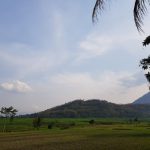 Mayoritas desa di Indonesia