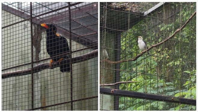 Prigen Conservation Breeding Ark 