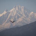 Jumlah pendaki gunung