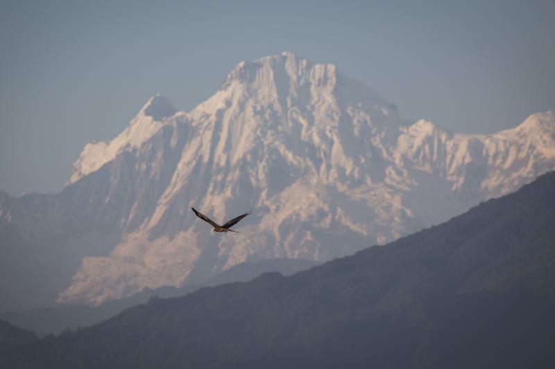 Jumlah pendaki gunung