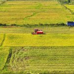 Model AI pertanian China