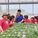 Reformasi pengembangan SDM Indonesia