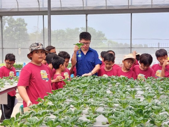 Reformasi pengembangan SDM Indonesia