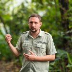 Babi kutil (Sus verrucosus)