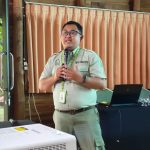 The genetic diversity loss of the Javan bull