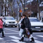 Proporsi populasi anak muda