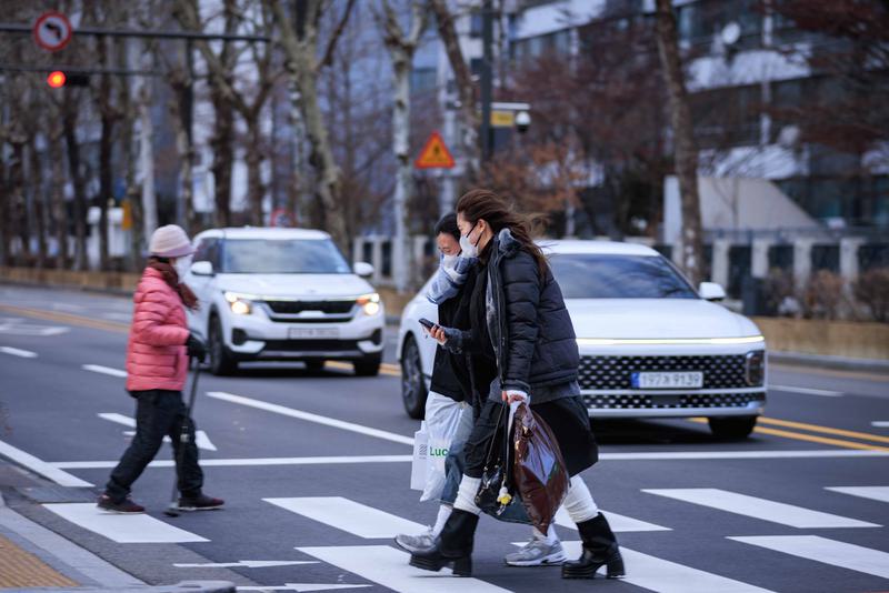 Proporsi populasi anak muda