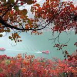 Larangan penangkapan ikan