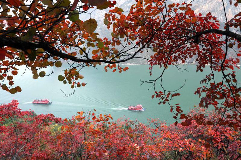 Larangan penangkapan ikan