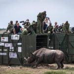 Tsavo West Rhino Sanctuary