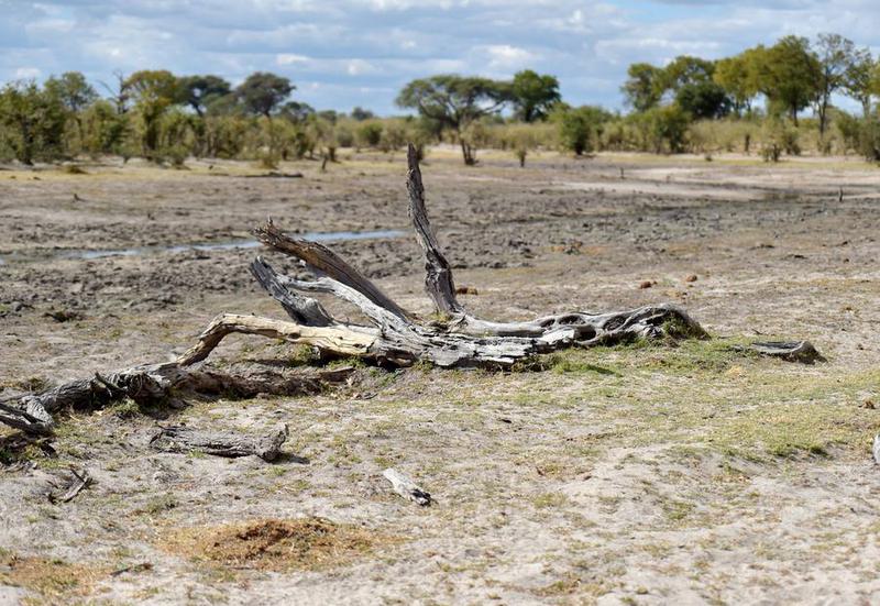 Fluktuasi suhu harian
