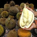 Durian beku Indonesia