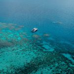 Bintang laut mahkota duri