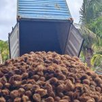 Nilai ekspor komoditas kelapa